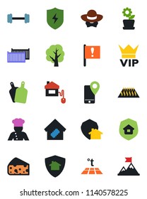 Color and black flat icon set - vip vector, tree, barbell, important flag, mobile tracking, cargo container, protect, smart home, flower in pot, estate insurance, cook, dress code, cutting board