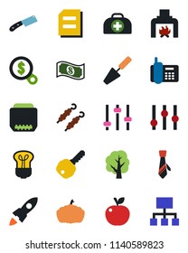 Color and black flat icon set - document vector, trowel, tree, pumpkin, doctor case, office phone, settings, hdmi, tuning, tie, key, fireplace, kebab, knife, apple fruit, bulb, rocket, money search