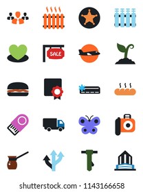 Color and black flat icon set - plane vector, tie, sproute, butterfly, heart, route, car delivery, camera, sertificate, sale, heater, air conditioner, bread, hamburger, turkish coffee, radiator