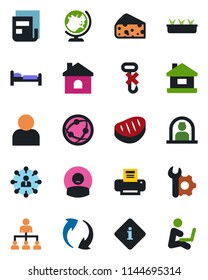 Color and black flat icon set - reception vector, globe, bed, hierarchy, house, seedling, patient, no hook, network, update, user, root setup, news, printer, steak, cheese, information