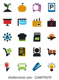 Color and black flat icon set - airport bus vector, parking, bomb in case, hierarchy, presentation board, sproute, pumpkin, plane, cargo, tulip, tv, sd, face id, contract, stapler, mail, rooms, idea