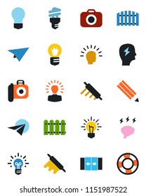 Color and black flat icon set - automatic door vector, brainstorm, bulb, camera, pencil, fence, rolling pin, energy saving, shining head, idea, paper plane, crisis management
