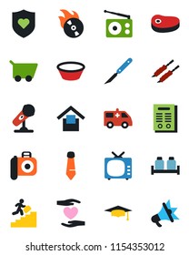 Color and black flat icon set - graduate vector, tie, scalpel, ambulance car, heart shield, hand, warehouse storage, flame disk, camera, microphone, radio, tv, contract, career ladder, steak, kebab