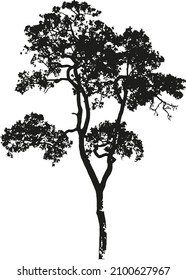 The Color Black Vector Tree Front Shadow Black With No Background