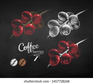 Color and black and white vector chalk drawn illustration set of coffee branch with berries and beans on chalkboard background.