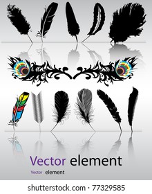 Color, black-and-white feather backgrounds. Vector format