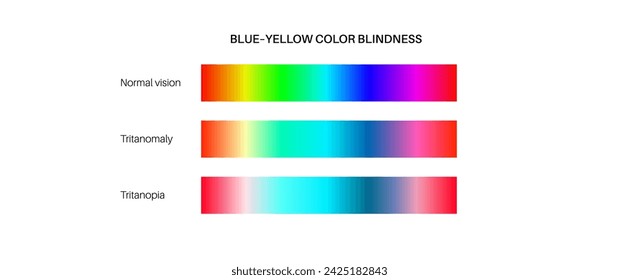 Color blindness infographic. Human vision deficiency concept. Difference between colors, brightness and intensity of shades. Tritanopia, tritanomaly and normal vision flat vector illustration