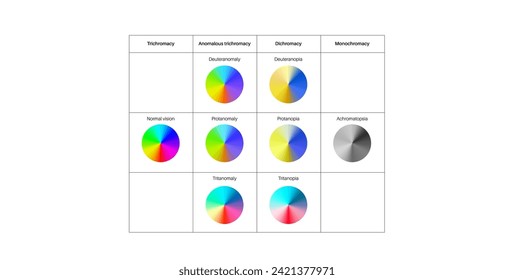 Color blindness infographic. Vision deficiency concept. Difference between colors. Deuteranomaly deuteranopia and protanomaly. Protanopia, tritanopia and tritanomaly. Achromatopsia vector illustration
