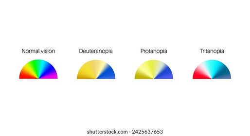 Color blindness infographic. Vision deficiency concept. Difference between colors. Deuteranomaly deuteranopia and protanomaly. Protanopia, tritanopia and tritanomaly. Achromatopsia vector illustration