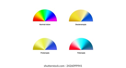Color blindness infographic. Vision deficiency concept. Difference between colors. Deuteranomaly deuteranopia and protanomaly. Protanopia, tritanopia and tritanomaly. Achromatopsia vector illustration
