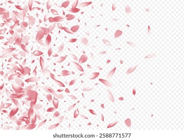 Color Bloom Vector Transparent Background. Petal Feminine Congratulation. Apple Tender Texture. Lotus Soft Template. Bright Cherry Realistic Illustration.