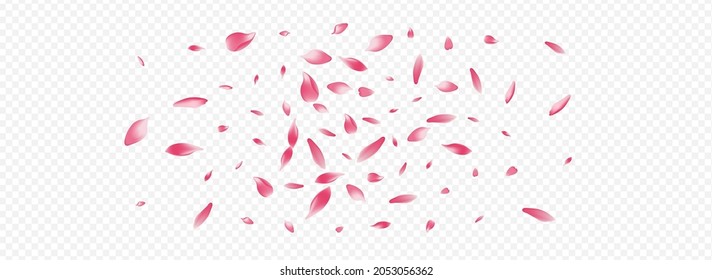 Color Blooming Vector Panoramic Transparent Background. Flower Valentine Pattern. Rosa Japanese Design. Peach Aroma Backdrop. Bright Confetti Spa Banner.