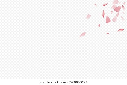 Fondo transparente del vector de coloración. Leaf Textura fresca. Plantilla romántica de Lotus. Felicidades por la boda de las flores. Brillante Patrón Eólico Sakura.