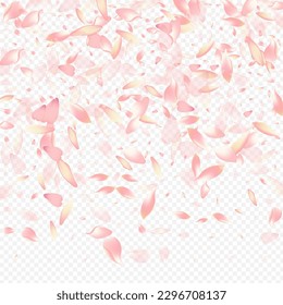 Color Blooming Vector Transparent Background. Cherry Flutter Design. Floral Garden Banner. Rosa Fly Pattern. Bright Petal Fall Cover.