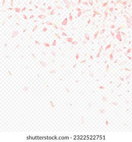 Color Blooming Vector Transparent Background. Apple 3d Pattern. Peach Beauty Poster. Rosa Springtime Backdrop. Bright Tree Blow Design.