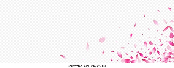 Color Blossom Vector Panoramic Transparent Background. Heart Feminine Template. Cherry Valentine Poster. Sakura Romance Banner. Bright Floral Japanese Card.