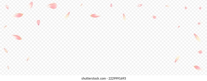 Color Blossom Vector Panoramic Transparent Background. Floral Overlay Banner. Bloom Aroma Congratulation. Sakura Graphic Pattern. Purple Rosa Sky Design.