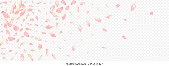 Color Blossom Vector Panoramic Transparent Background. Heart Marriage Poster. Flower Romantic Design. Confetti Realistic Template. Pink Bloom Tender Illustration.