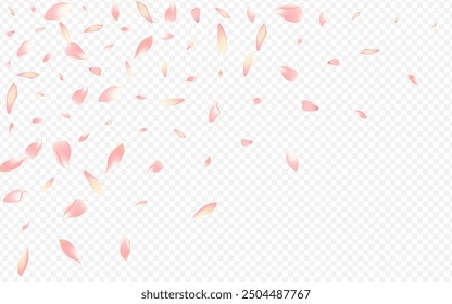 Color Blossom Vector Transparent Background. Sakura Invitation Illustration. Lotus Graphic Cover. Flower Isolated Design. Bright Apple Wallpaper Card.