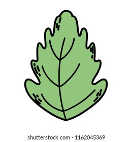 color botany cute leaf exotic style