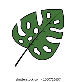 color botany leaf exotic natural style
