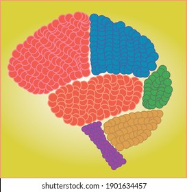 cerebro de color en concepto de idea