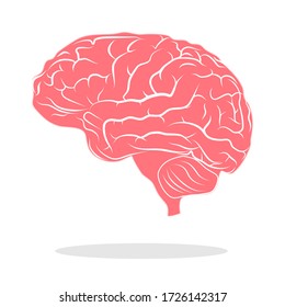 Color brain illustration Brain concept logo on a white background