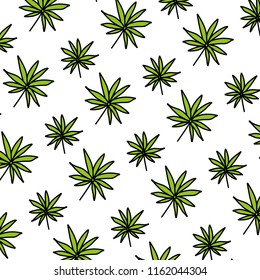 color branch tropical plant leaves background