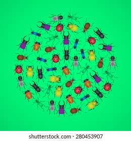 color bugs and beetles icons in circle eps10