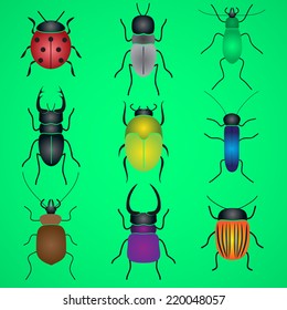 color bugs and beetles icons set eps10