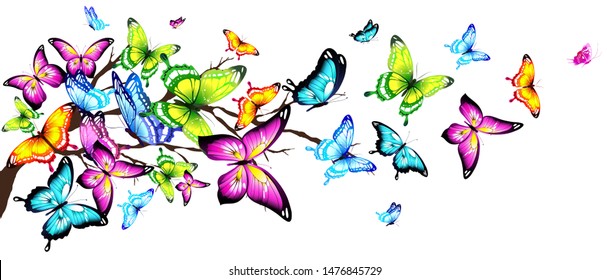 color butterflies fly on a white background