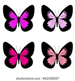 color butterflies,isolated on a white