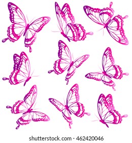 color butterflies,isolated on a white