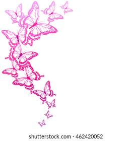 color butterflies,isolated on a white
