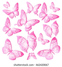 color butterflies,isolated on a white