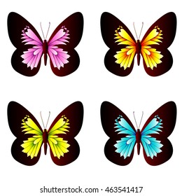color butterflies,isolated on a white