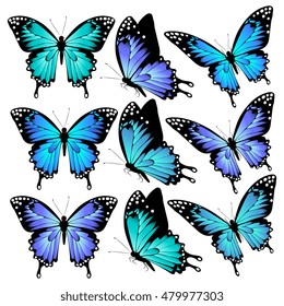 color butterflies,isolated on a white