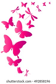color butterflies,isolated on a white