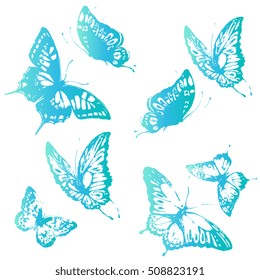 color butterflies,isolated on a white 