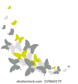 color butterflies,isolated on a white