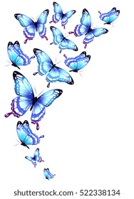 color butterflies,isolated on a white