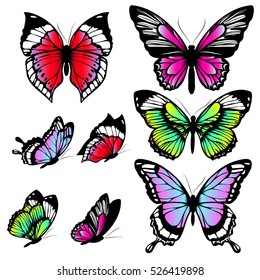 color butterflies,isolated on a white