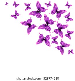 color butterflies,isolated on a white