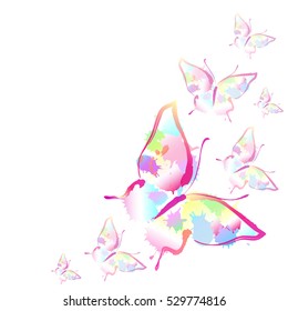 color butterflies,isolated on a white
