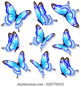 color butterflies,isolated on a white