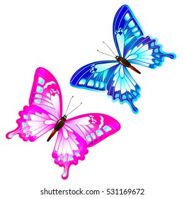 color butterflies,isolated on a white