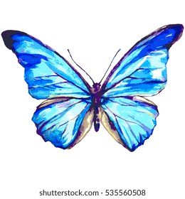 color butterflies,isolated on a white