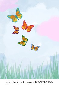  color butterfly cartoon illustration and sky 