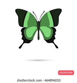 Color butterfly flat icon