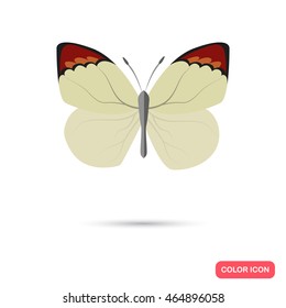 Color butterfly flat icon